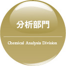 分析部門